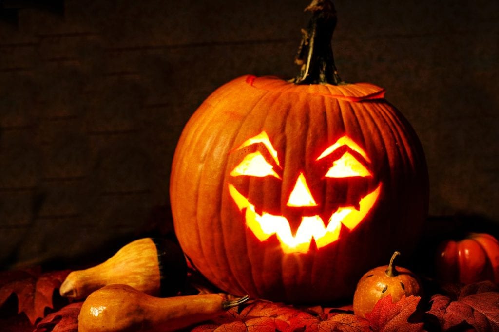 protect your pumpkins this fall with aaa exterminating