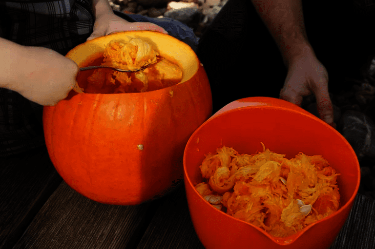 Tips For Keeping Your Pumpkins Fresh This Halloween Aaa Exterminators