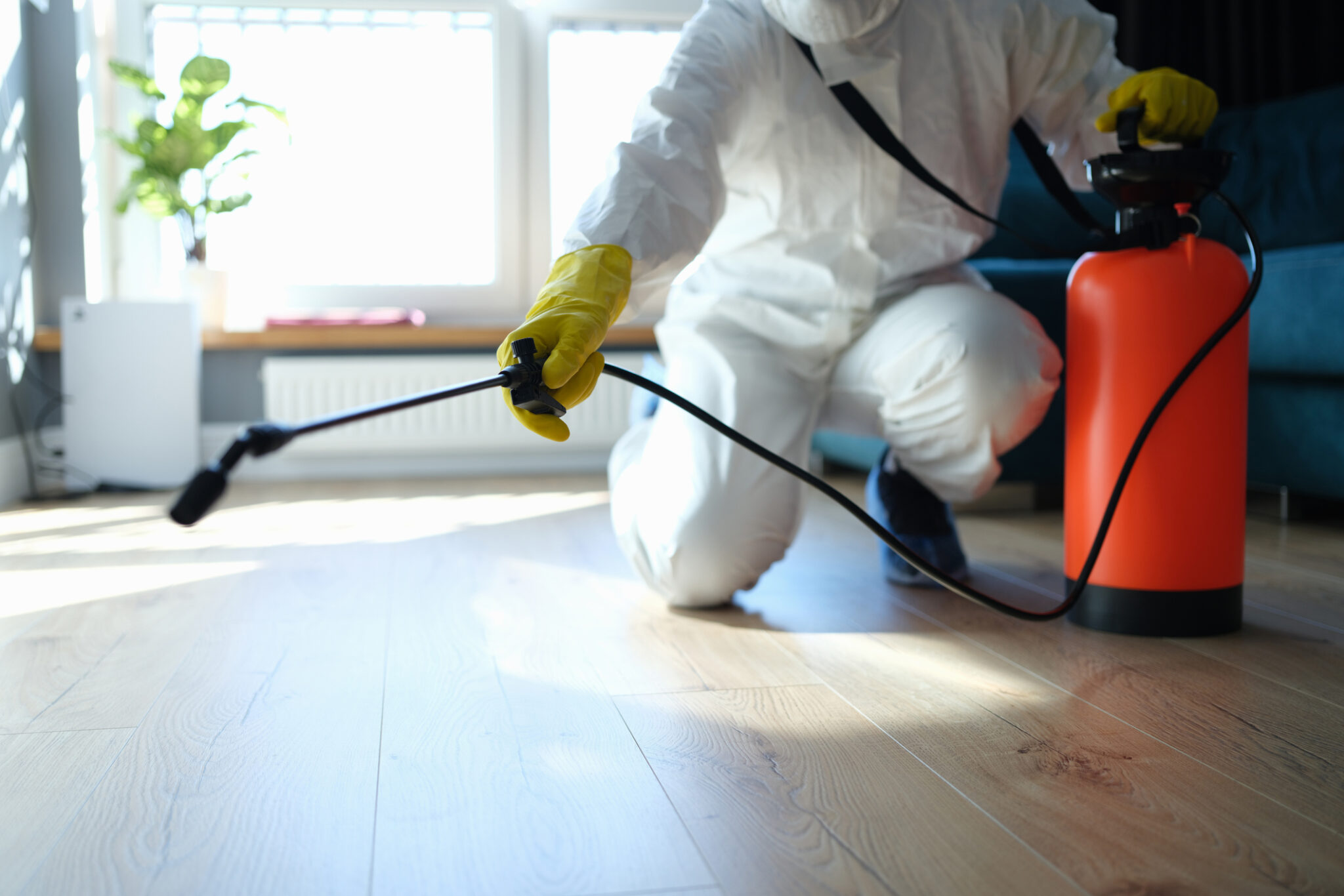 Protect Your Home with the Leading Pest Control Company in Indianapolis