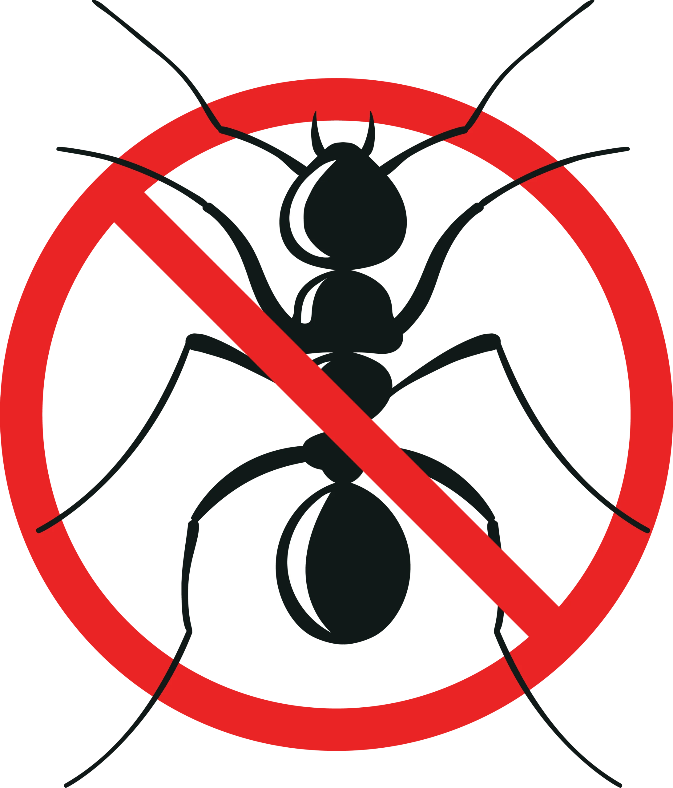 aaa-exterminating-noblesville-indiana-ant-pest-extermination aaa-exterminating-noblesville-indiana-ant-pest-extermination