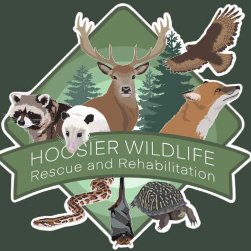 hoosier-wildlife-rescue-logo